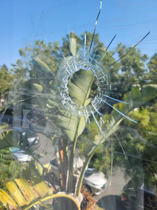 bett_yu's tweet photo. 🚨 Bullets flew through windows, curtains and walls in one Oakland apartment building on July 4th 

Residents tell me OPD showed up 2 days after the first call. 

‼️ Police tell me there are 35 officers on patrol per shift across the city. 

Live @KTVU at 10 pm 
@henrykleeKTVU https://t.co/KRpoV5I97V