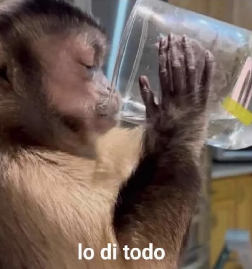maurenbuelvasa's tweet photo. Baladan después de comentarle "🙌🏼🙌🏼🙌🏼" en todos los post a Miguel JAJAJAJAJAJA #Buernella https://t.co/WfxvePGMNA