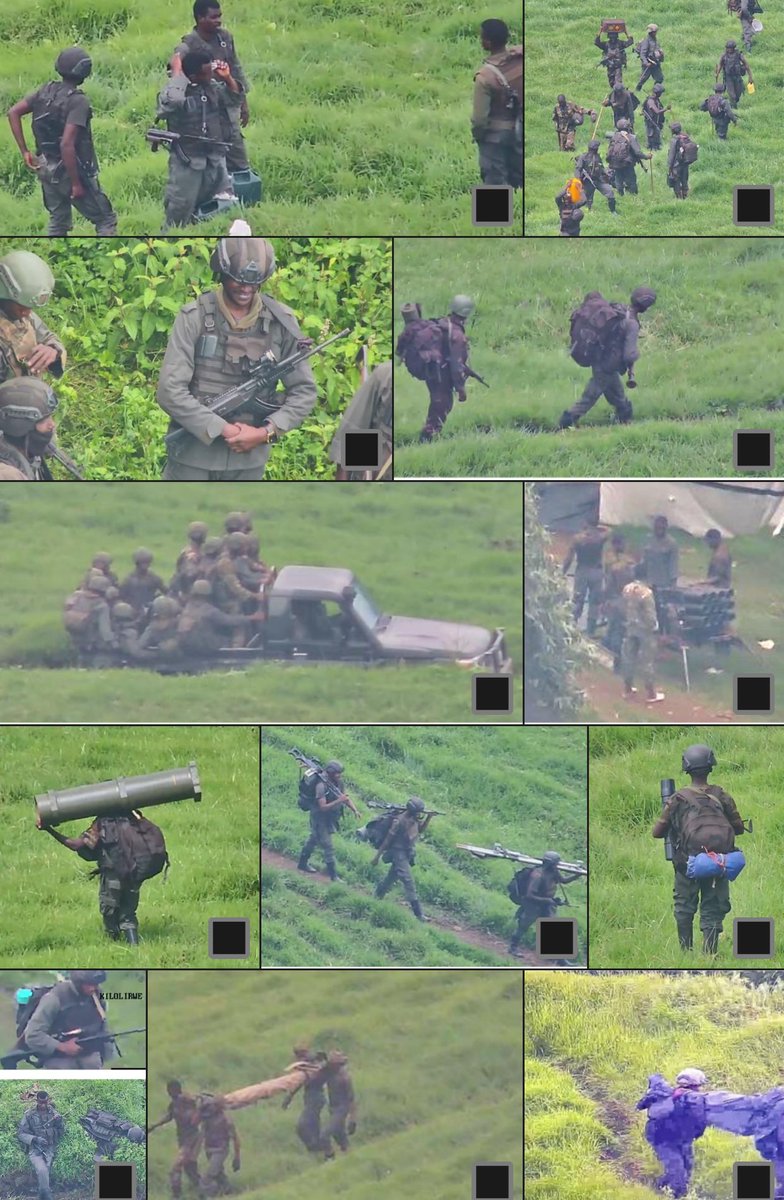 patkat17 tweet media