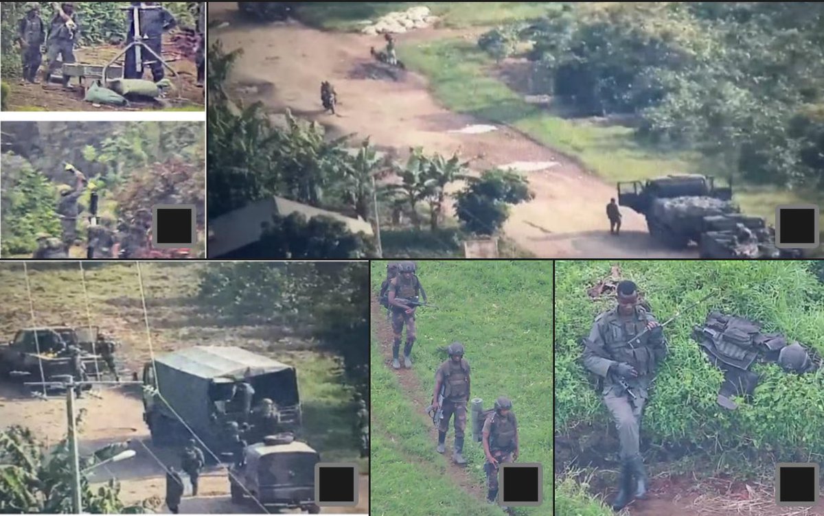 patkat17 tweet media