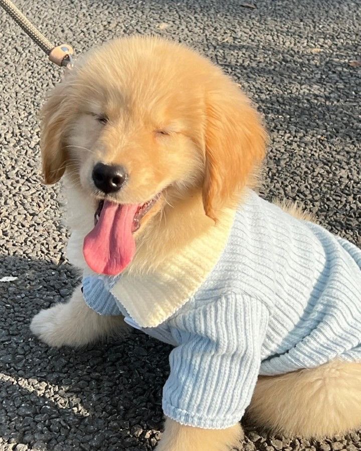 ☀️