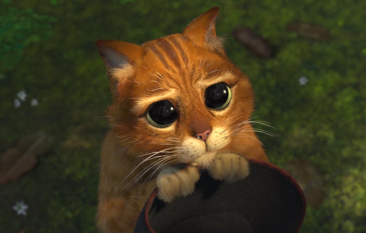 Pop Base tweet media