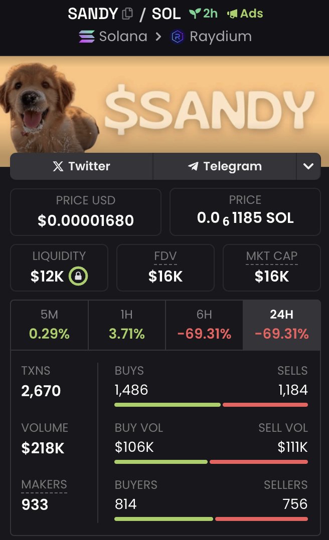 SandyCTO tweet media