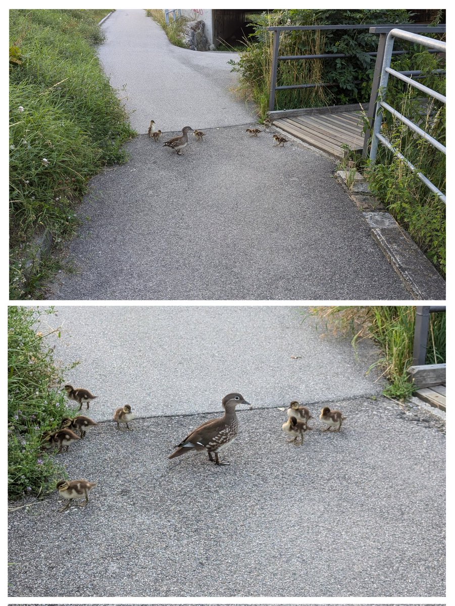 whakaute's tweet image. Heute habe ich gerne 2 Minuten länger in die Arbeit benötigt 🥰#mdRzA #Radfahren