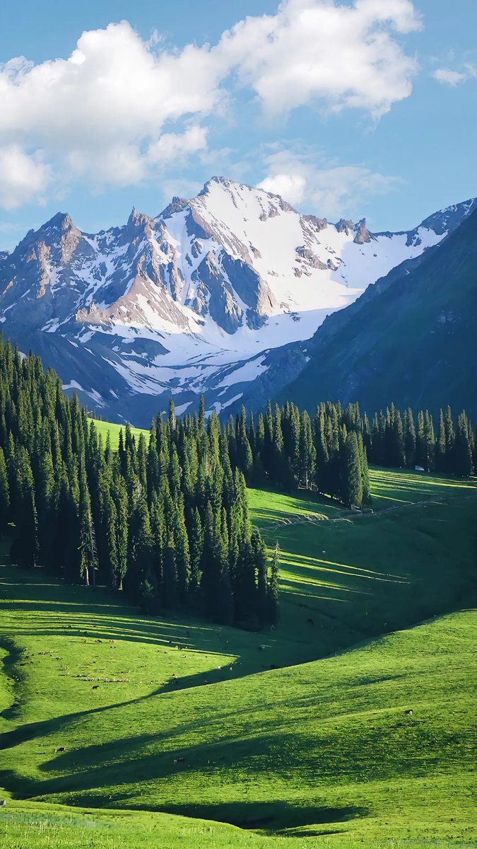 Alim_CHN's tweet photo. (3/3) Xinjiang is one of the most beautiful places in China. 中国十分美，七分在新疆。这个夏天，你不能错过新疆。#ChinaTravel https://t.co/2zyuKDhW8f