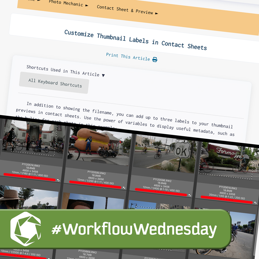 Learn how to customize the thumbnail labels in Photo Mechanic in today's #WorkflowWednesday tip. Link in bio.