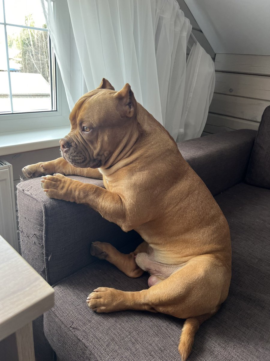 benscomsica1973 tweet media