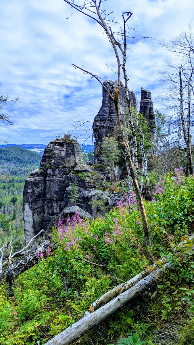 Wandern in der sächsischen Schweiz ist cool 😎