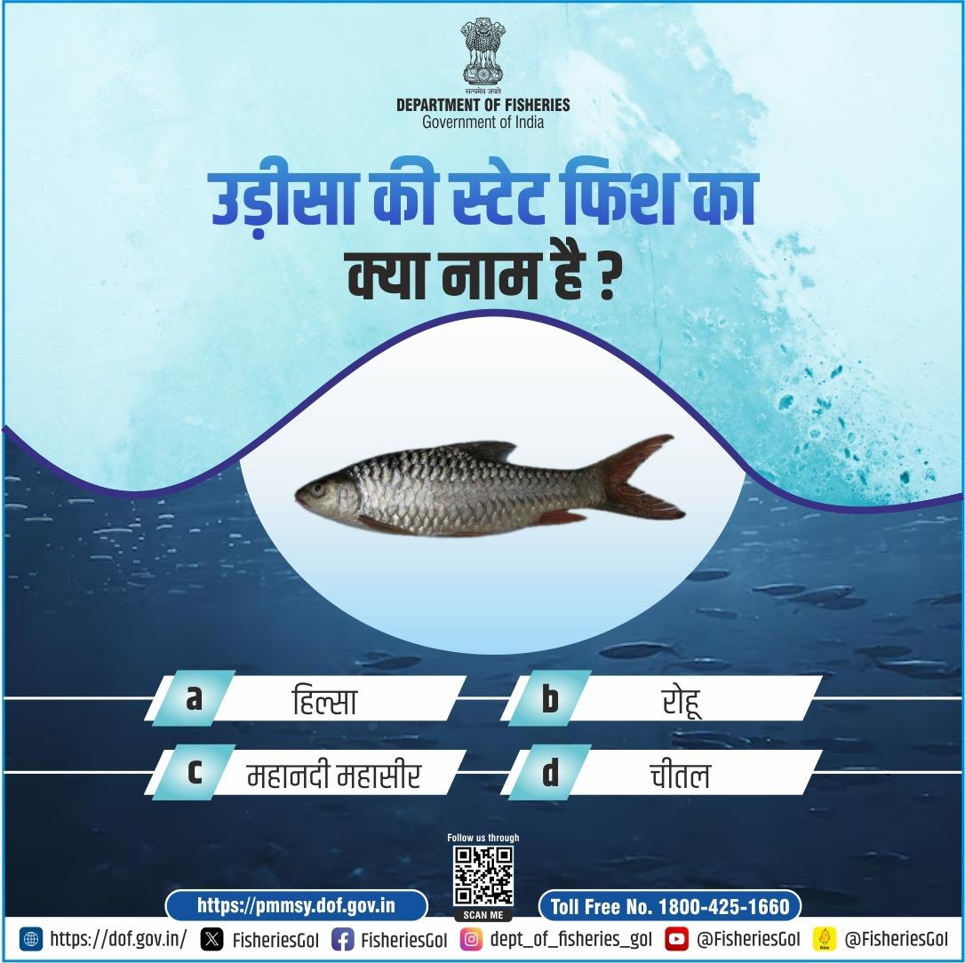 FisheriesGoI's tweet photo. निम्नलिखित में से कौन सी मछली उड़ीसा की स्टेट फिश है?
#OdishaStateFish #Mahseer #MahseerFish #OdishaWildlife #OdishaFisheries #FishOfOdisha #IndianMahseer #Conservation
#FisheriesOfIndia https://t.co/uKaBPmSJv1