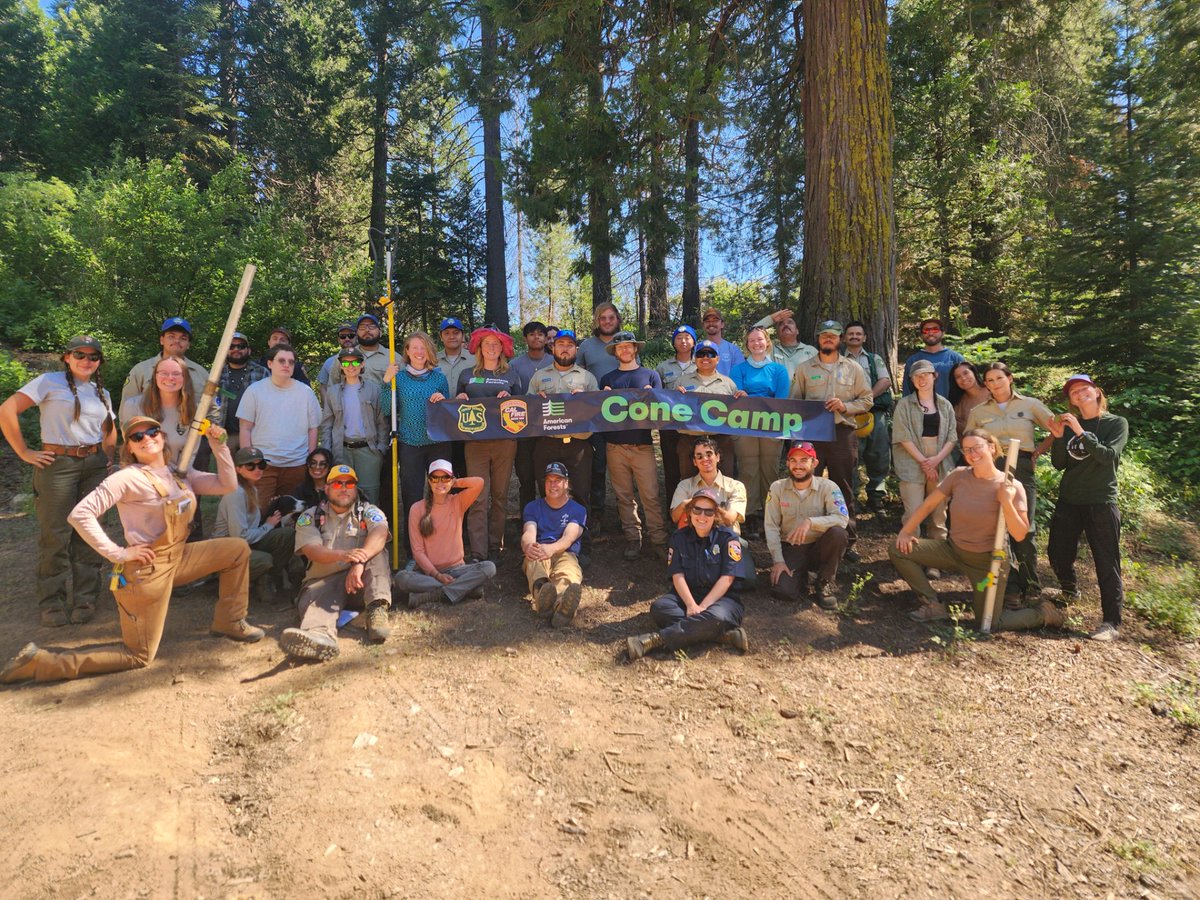 DyerDialogue's tweet photo. @AmericanForests' 2nd #ConeCamp this year took place @CALFIRE_PIO's Mountain Home Demonstration Forest. Here ~40 ppl from state &amp; federal agencies, private industry, &amp; non-profits came to learn to be #ConeHunters! @CAConservCorps @SequoiaKingsNPS @sequoiaforest, @savetheredwoods https://t.co/4RNTmPaRA5