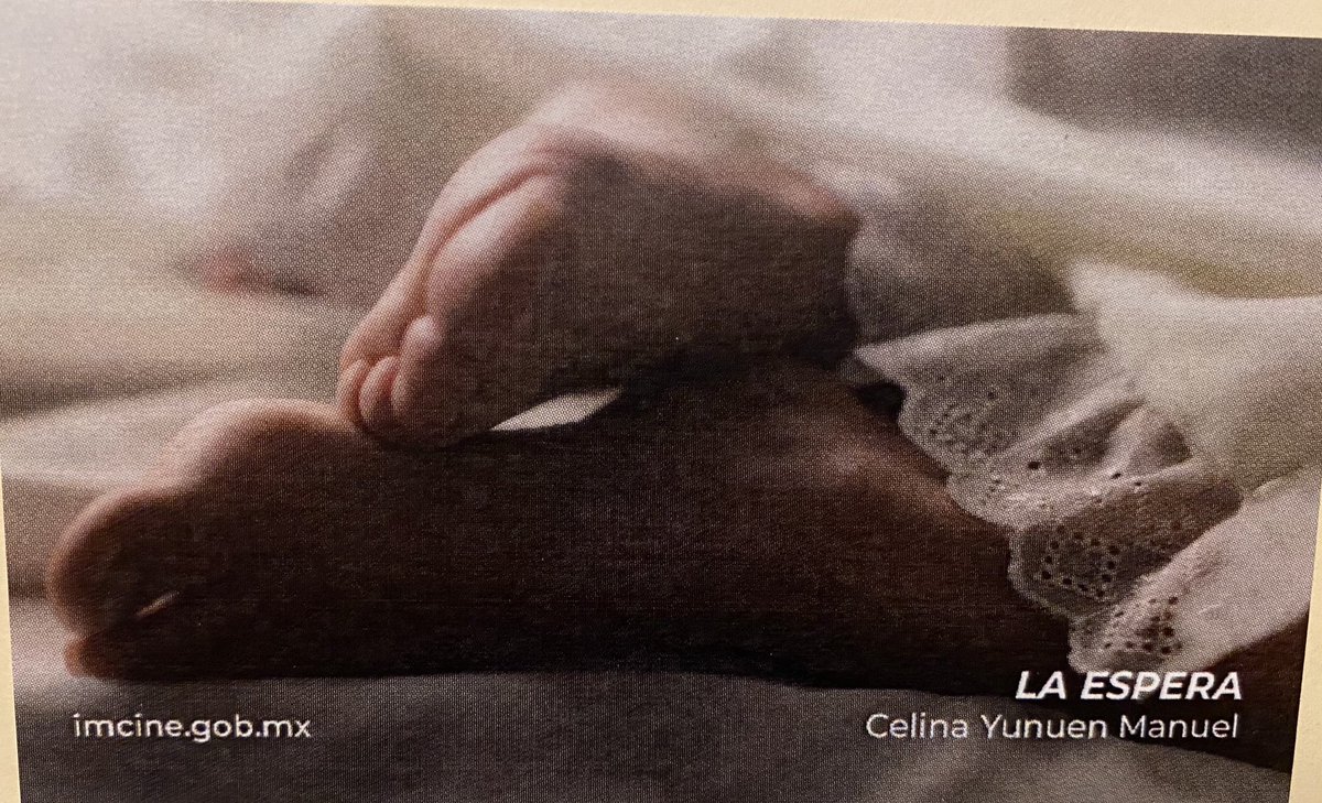 ¡NO SE PUEDEN PERDER! Miércoles 10, función doble en la Cineteca de las Artes, 4 películas bellísimas  con presencia de sus 4 realizadoras: Cynthia Toledo, cineasta zapoteca, Medhin Tewolde, cineasta afromexicana, Celina Manuel, cineasta purépecha y Angeles Cruz, cineasta mixteca