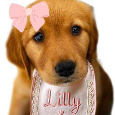 Meet $Lily on Solana. Trending now! pump.fun/3zfHwDomA7bR49…