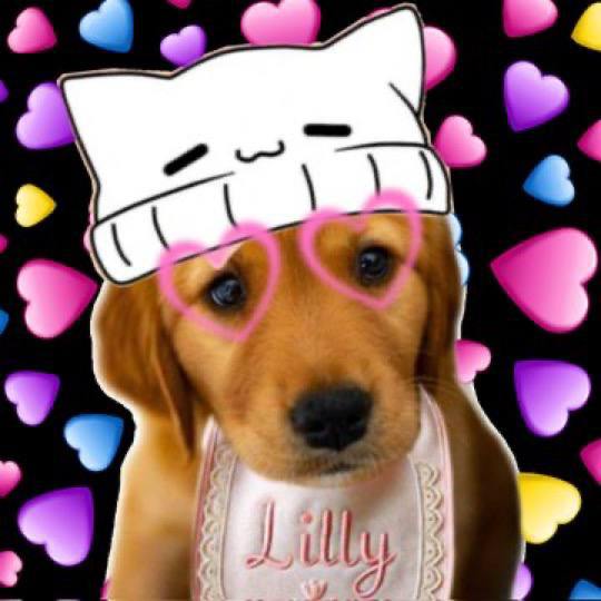 lvly day, how are you doing today?