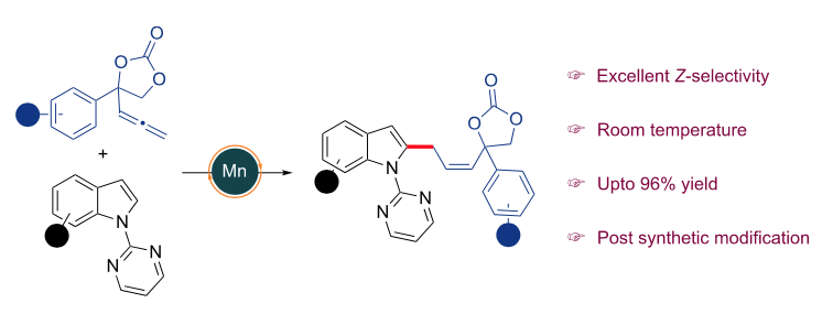 Exciting news! Vineet unveils how steric at the allenylic position dictate Z-selective allylic substitution of indoles catalyzed [Mn] in <a href="/JOC_OL/">J Org Chem/Org Lett</a> . Congratulations vineet! Big thanks to <a href="/serbonline/">SERB</a> 
 for funding <a href="/IITKanpur/">IIT Kanpur</a> for infra. <a href="/Basker_IITK/">Basker Lab</a> pubs.acs.org/articlesonrequ… #Zselectiv