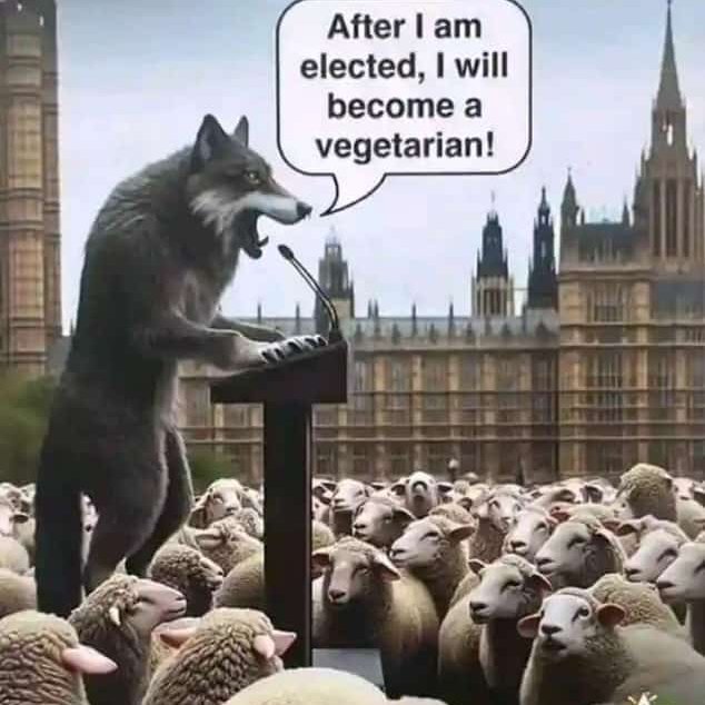 renalddag's tweet photo. Politics: https://t.co/tS6S9CFIgj