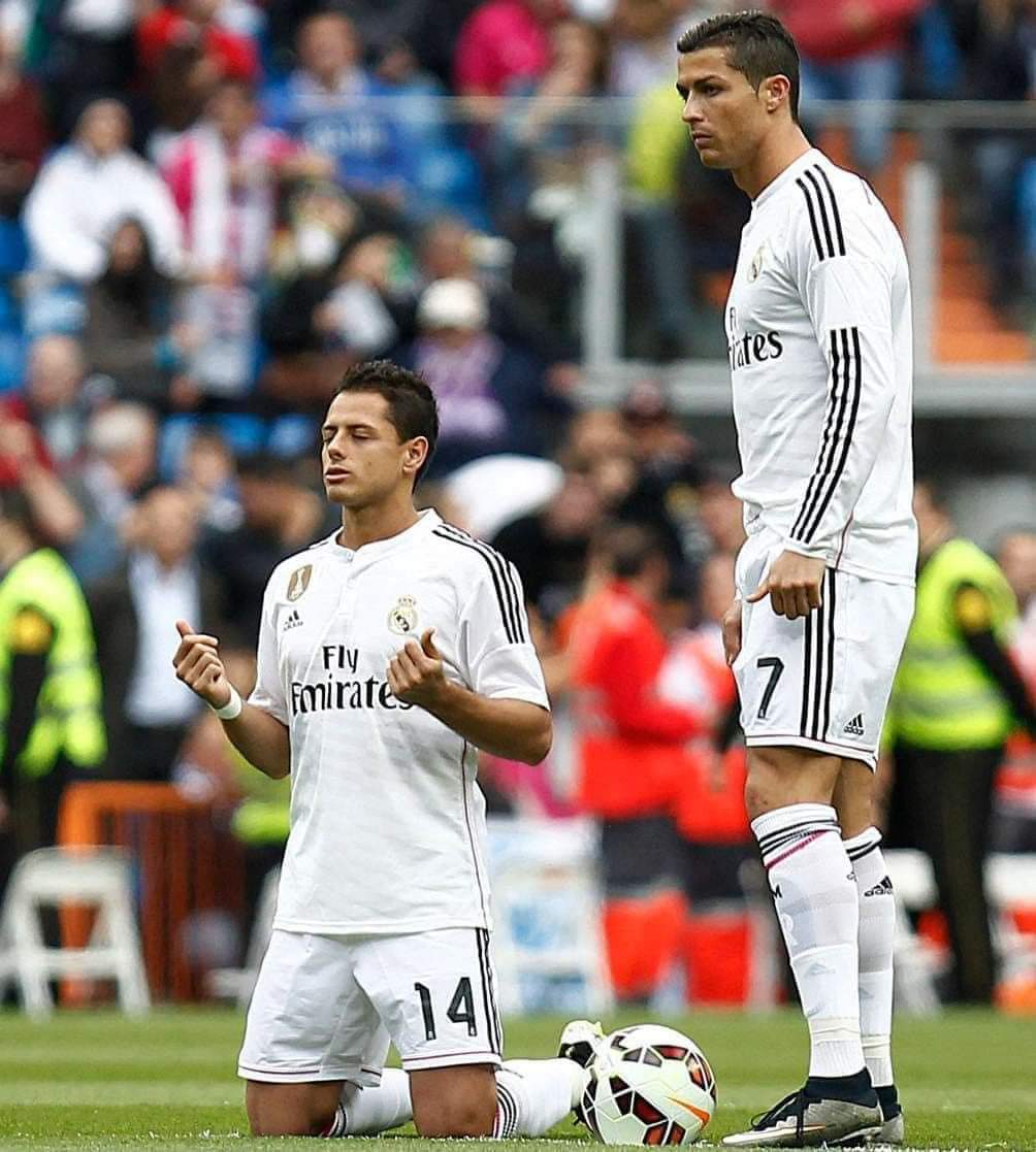 PredatorTj's tweet image. Los goats