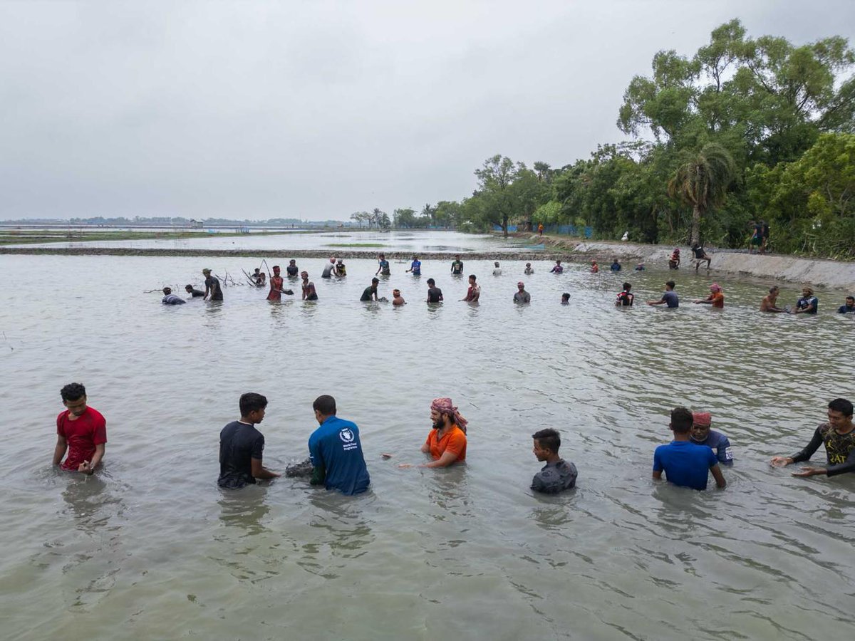 WFP_Bangladesh's tweet photo. WFP's Khulna office led a cash-for-work program, reaching 41,500 Cyclone Remal-affected families in Khulna. Families earned BDT 5000 (USD 43) for 10 days of work, repairing critical infrastructure.
We're committed to supporting these communities as they recover and rebuild. π https://t.co/WhqtjLeAs1