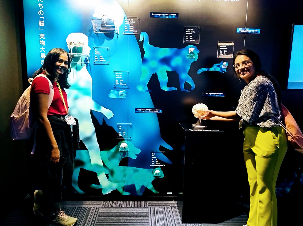 RIKEN_CBS's tweet image. #cbs_summer Day 3
During lunch break, Leila Ali @leilaalimd and Lakshini Kannan explored Brain Box, a museum dedicated to the brain&apos;s mysteries.
Outside the program, they visited #Asakusa, hunted for cute #Pokemon T-shirts, and enjoyed Japanese traditional and pop culture.