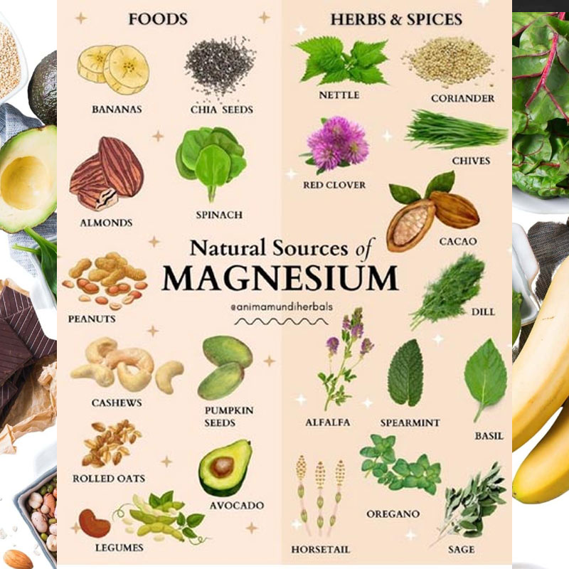 OrganicLiveFood's tweet photo. #Magnesium plays a key role in absorption of calcium and vitamin D. Mg is more important in kids #bone health compared to calcium. Lots of #nutrients are key for children to have healthy bones. One of these appears to be magnesium: https://t.co/2CPrRTeigc