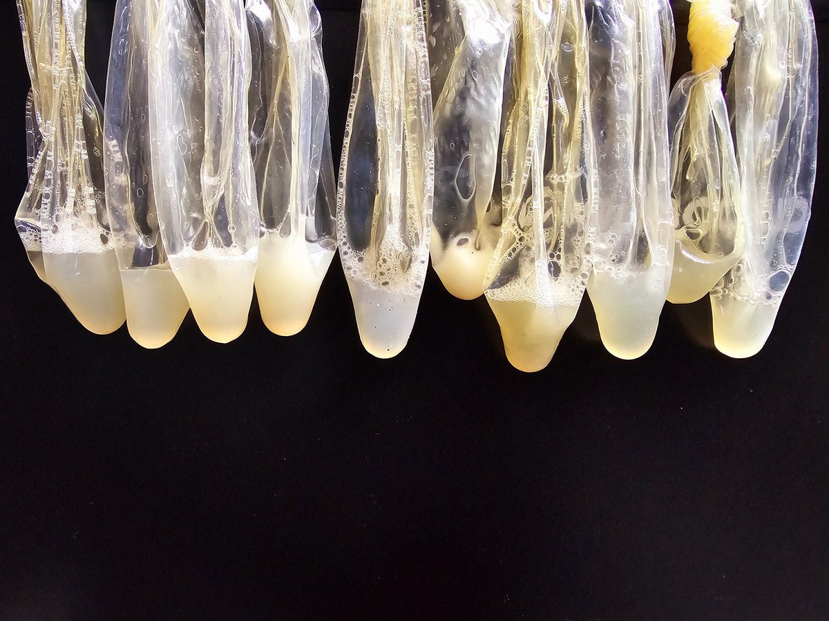 fabdu6969's tweet image. Ma nouvelle cure de protéines vitamines va bientôt démarrer merci pour vos dons grâce à vous je me régale et je suis bien nourri encore 5 et j’aurais mes 15 jours de lait adn 😛😛😛😍😍😍