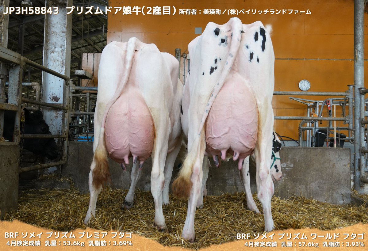 ジェネティクス北海道(GENETICS HOKKAIDO assoc.) on X