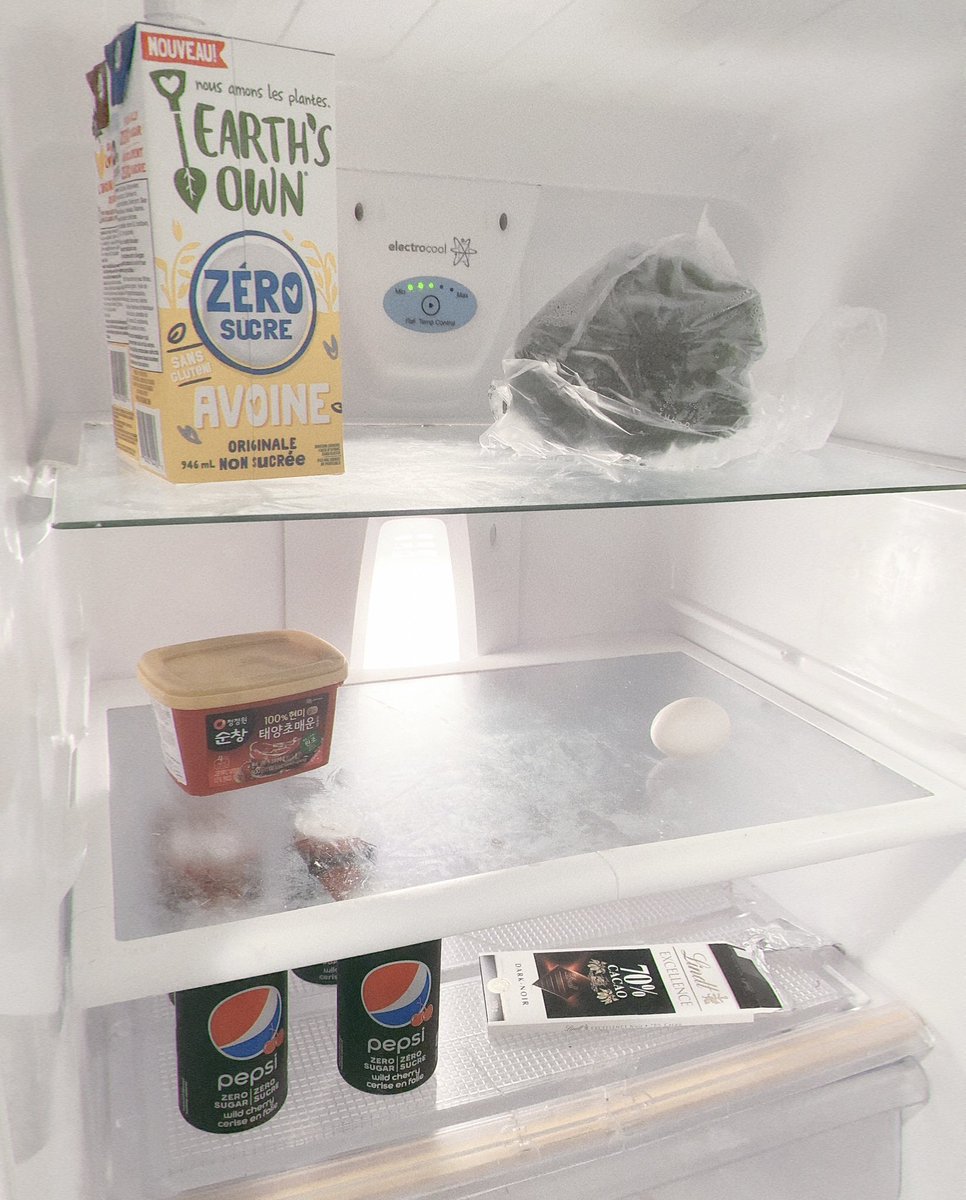 zerocalssie's tweet photo. y’all fw the fridge ? 😁 https://t.co/kYqQfGdCos