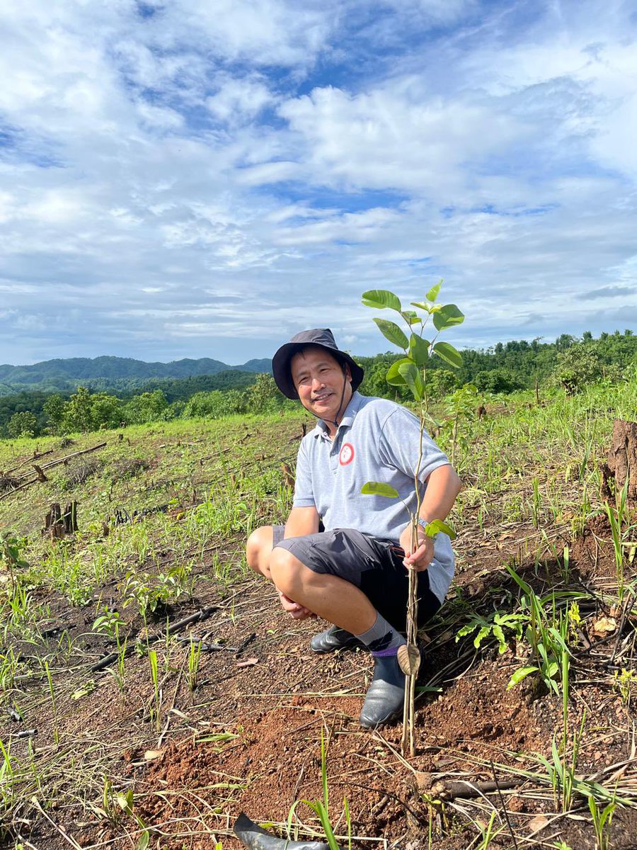 EANagaland's tweet photo. Under our #innovative and #evolving flagship program, “#TreesforWealth,” tEA team along with #farmers from #Heningkunglwa and #Punglwa have been planting thousands of #red #sandalwood #trees at #EA Micro #Farmland. https://t.co/nGJMfnaZNk