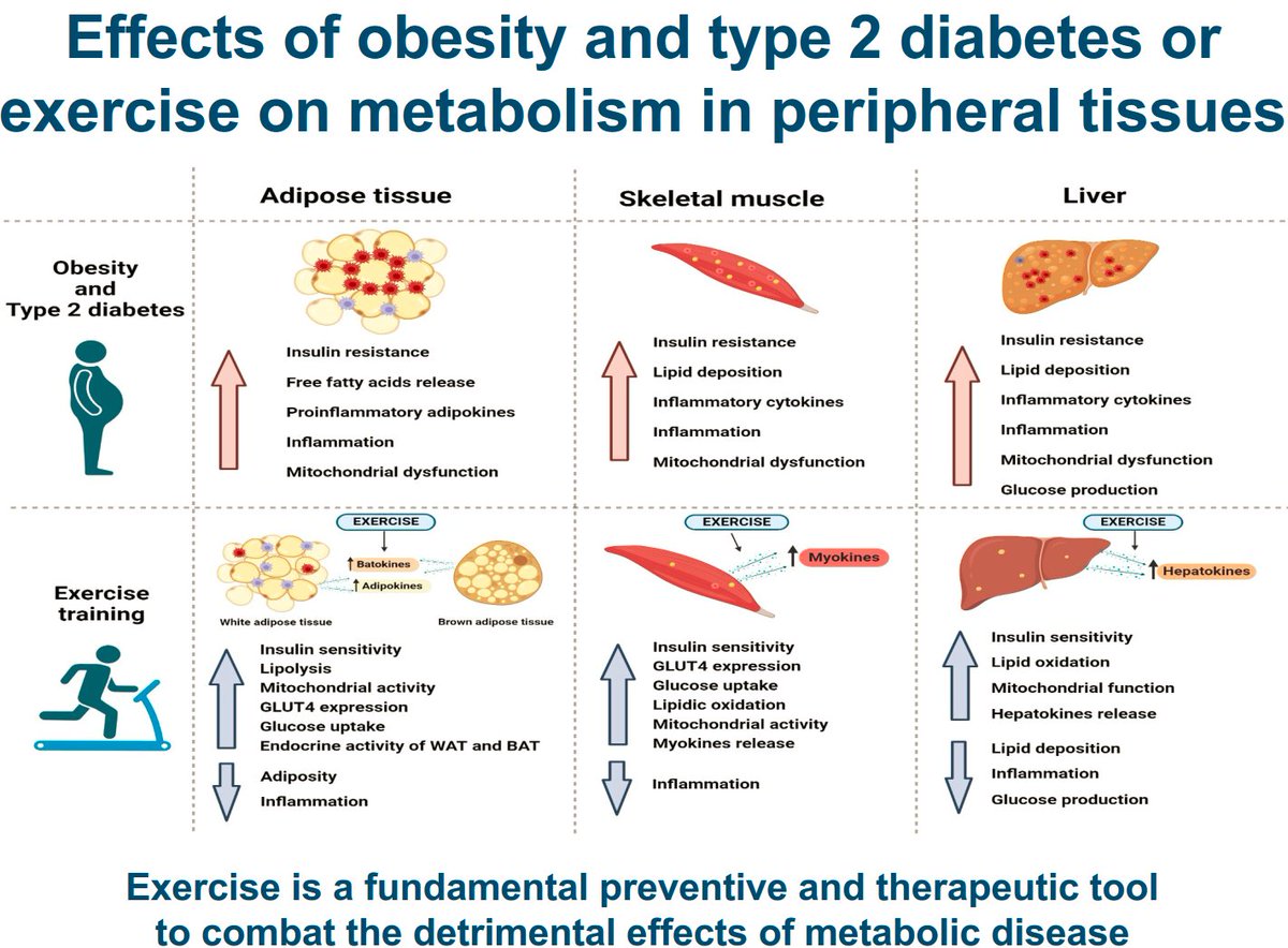 Exercise as a tool to mitigate metabolic disease

pubmed.ncbi.nlm.nih.gov/38981607/