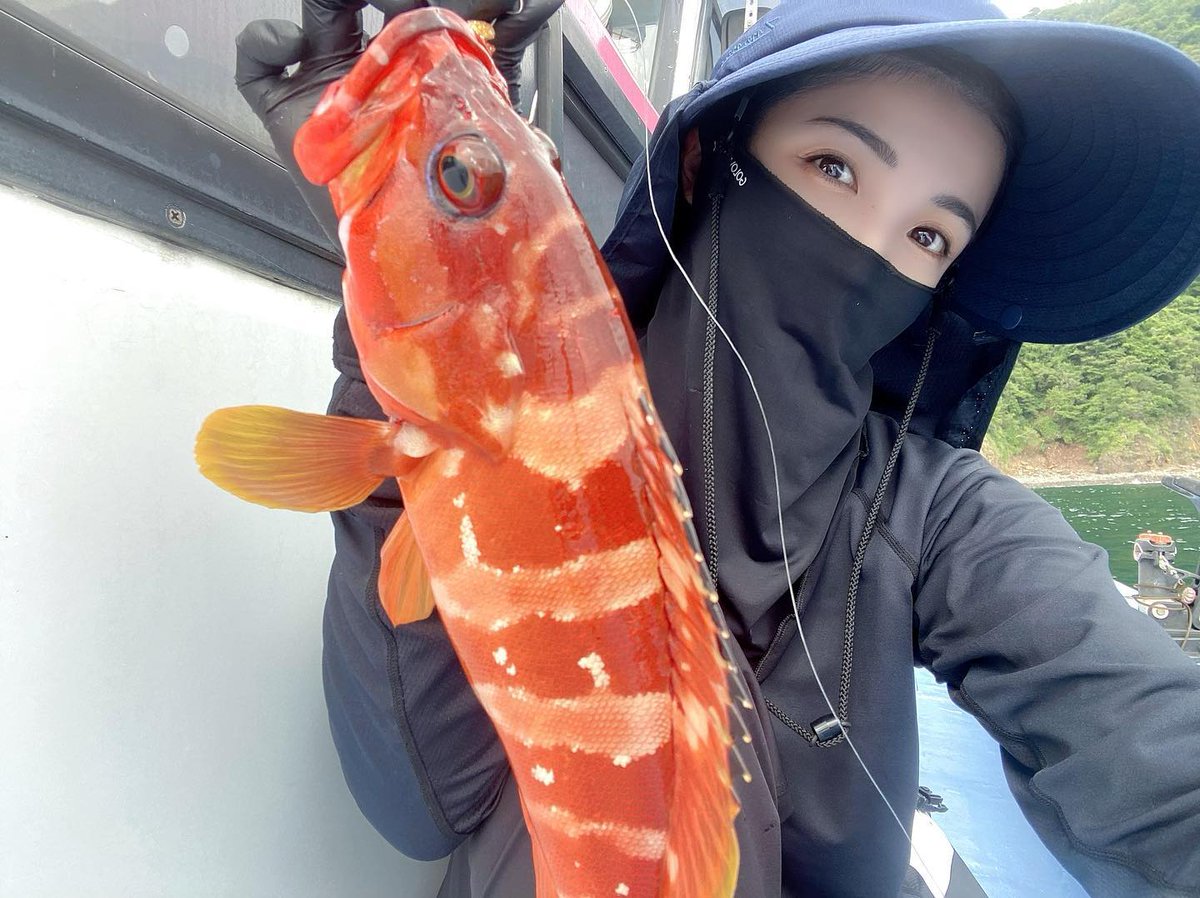 Trlytre's tweet photo. クロー系ワームでアカハタとカサゴ大漁ゲット✌️❤️
浅瀬だから船酔いしなくて最高🥰またやりたいなぁ

#ロックフィッシュ #ロックフィッシュゲーム #アカハタ #カサゴ #伊東
#釣り #釣り部  #フィッシングクラブ #釣り女子 #釣りガール  #釣り好きな人と繋がりたい #fishing #happy #ibaraki #octopus https://t.co/vYZI3wvYwT
