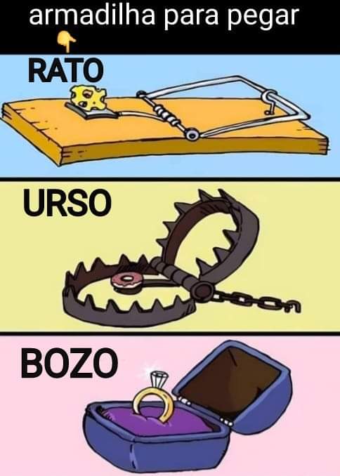 Lia De Sousa (@liadesousa1) on Twitter photo 