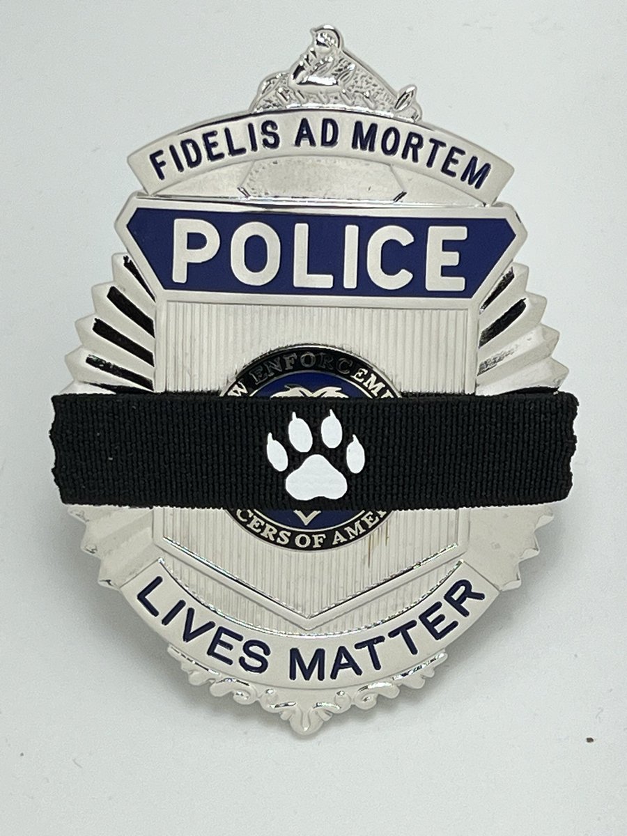 arrestptsd's tweet photo. @protectingblue https://t.co/8tBFooeD3t