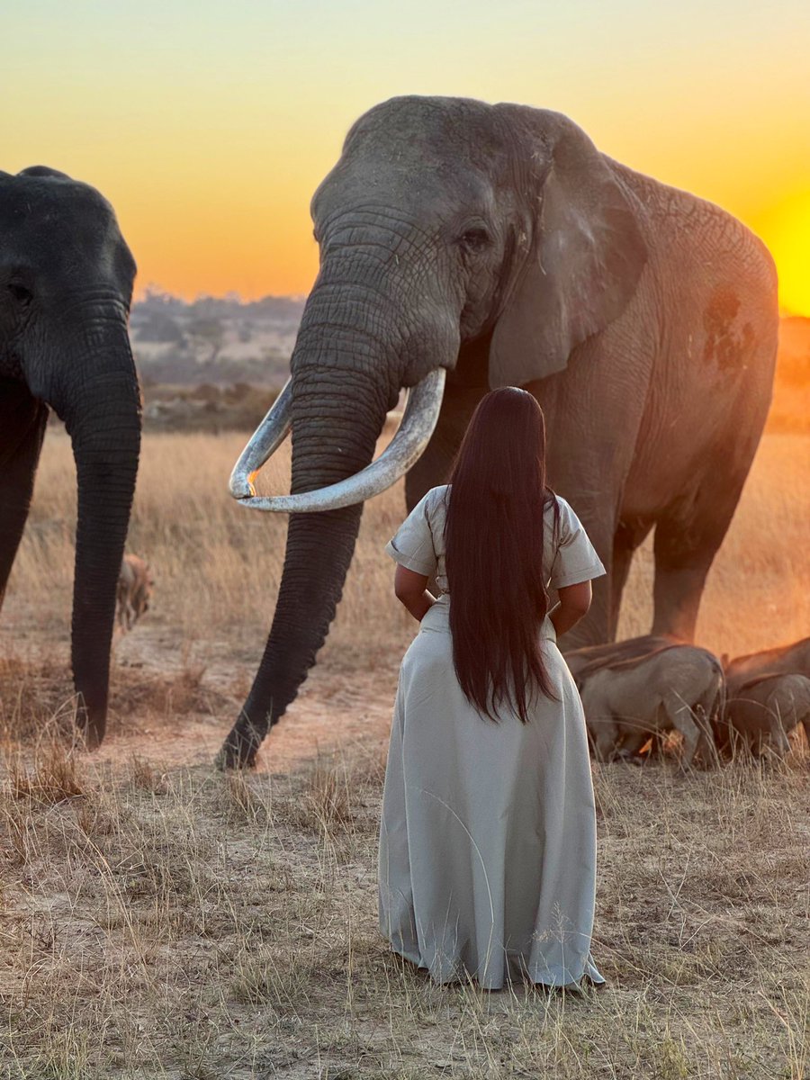 iMisred's tweet photo. Mangwanani 
#Africa 🌍 https://t.co/aQMlAsh76v