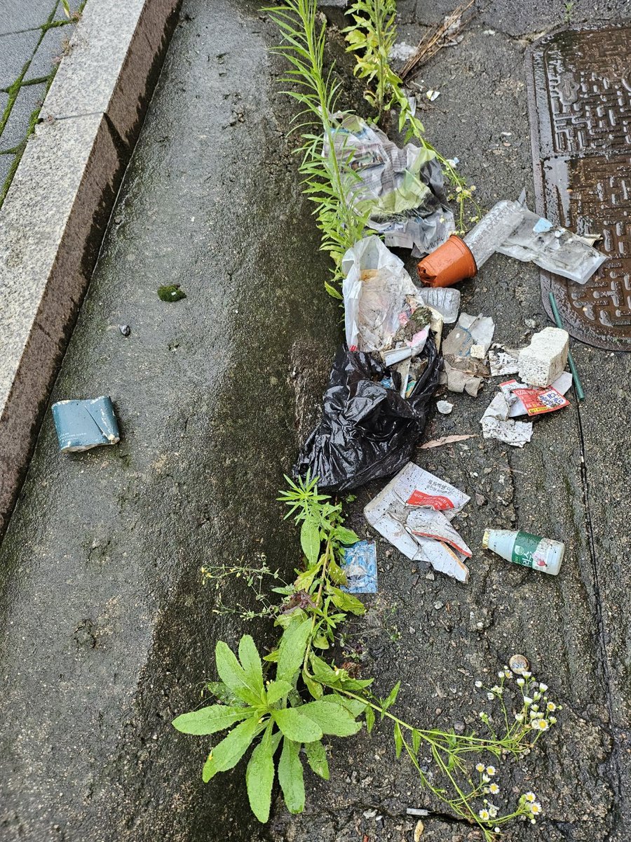 rokeeKR's tweet photo. #CleanUpChallenge
@cleanify_vet https://t.co/i7B7SCM6Co