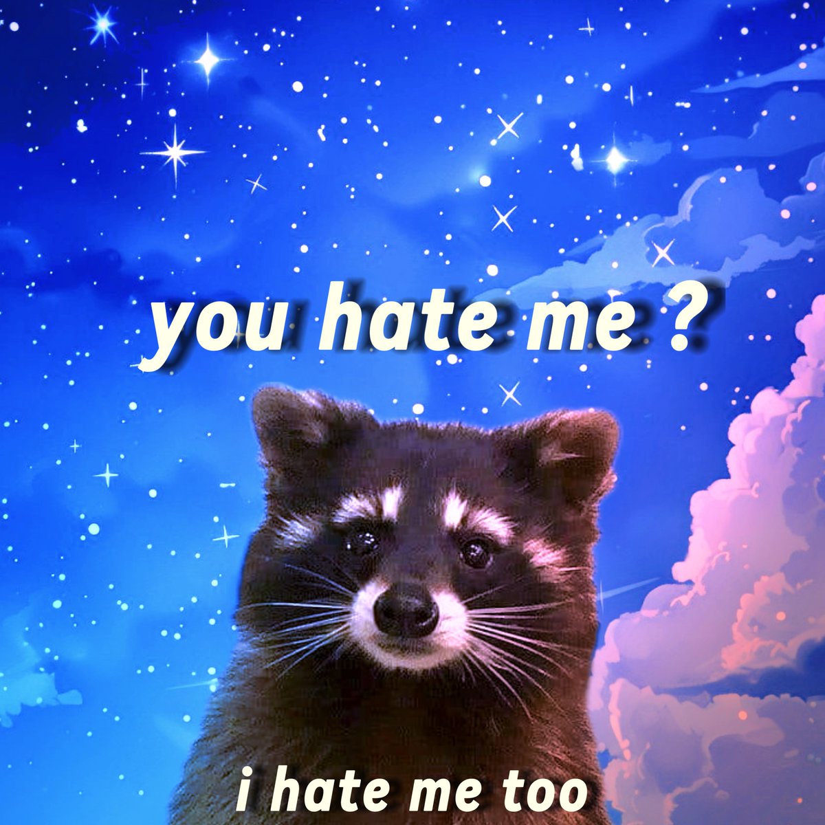 raccoonesthetic's tweet image. 
