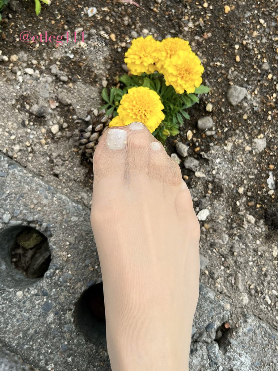 こんにちは✨
こちら北海道はさわやかに晴れております☀️
お仕事の合間、さわやかな空の下、マリーゴールドと私のパンスト脚📸💖
週末の連休は東京ですが、暑そうですね💦 https://t.co/mCAfjlRR2l