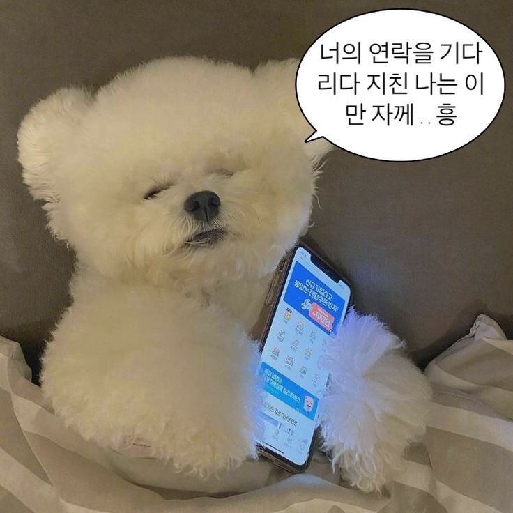 myang_22ee's tweet photo. 주말에 나랑 만날샤람 … 디엠죠 .. 🥺🥺
#섹트 #나율 #맘눌뎀 https://t.co/e749V4cvJq