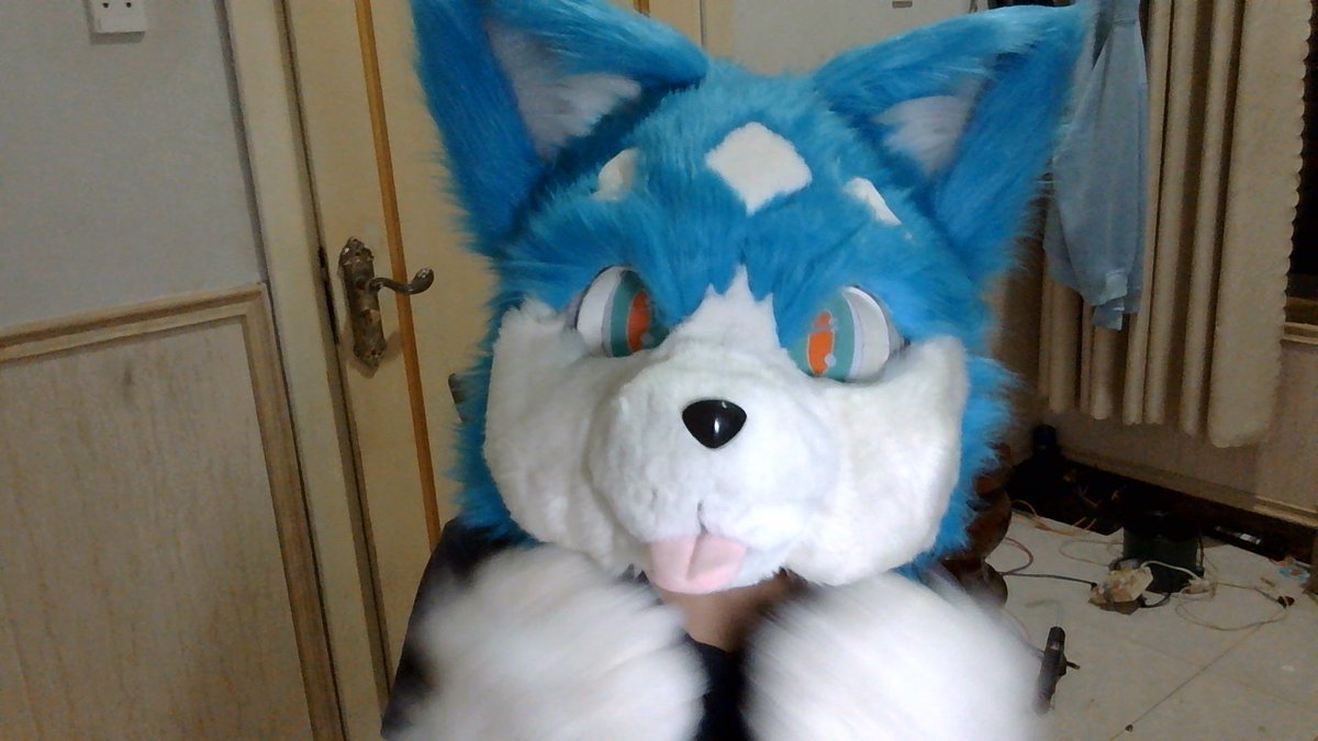 wolfhuman828's tweet photo. omg i got a furhead ~w~ #FursuitFriday https://t.co/GXcUrlulWV