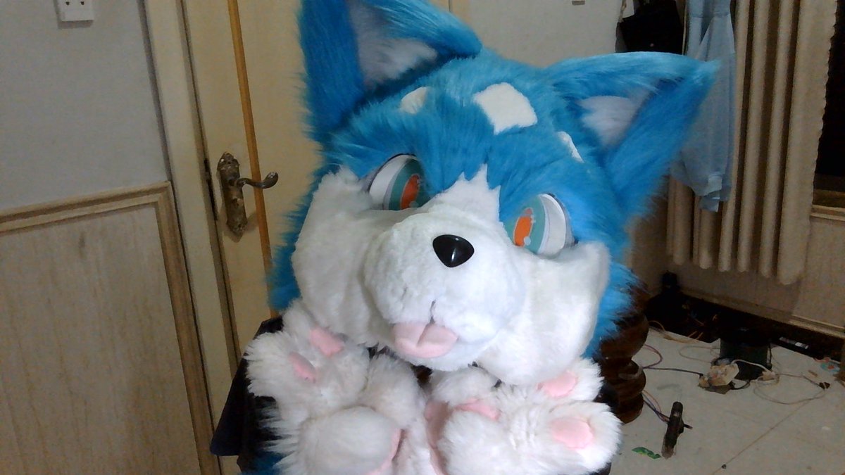 wolfhuman828's tweet photo. omg i got a furhead ~w~ #FursuitFriday https://t.co/GXcUrlulWV