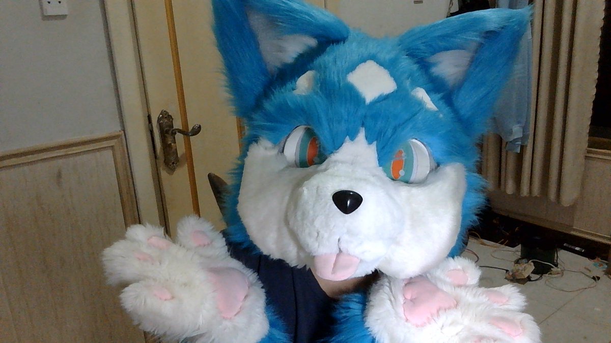 wolfhuman828's tweet photo. omg i got a furhead ~w~ #FursuitFriday https://t.co/GXcUrlulWV