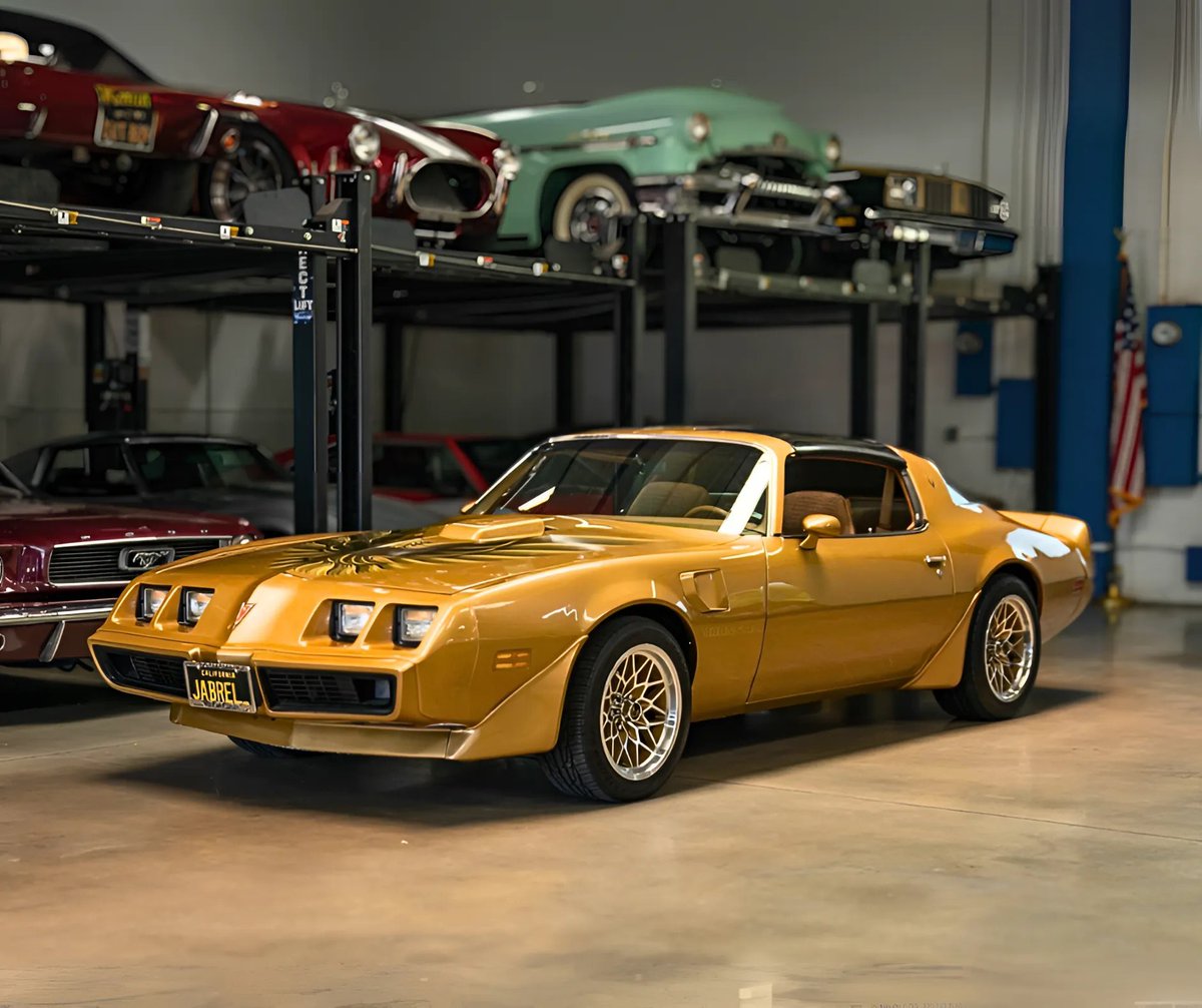 CarManToday's tweet image. 𝟭𝟵𝟴𝟬 𝗣𝗼𝗻𝘁𝗶𝗮𝗰 𝗙𝗶𝗿𝗲𝗯𝗶𝗿𝗱 𝗧𝗿𝗮𝗻𝘀 𝗔𝗠 𝟱.𝟬 𝗩𝟴 
📸 : West Coast Classics LLC (@westcoastclassics .co)
#pontiacfirebird #classicpontiac #worldwideclassiccars