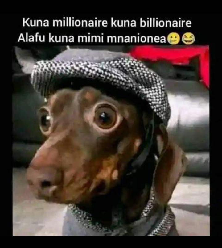 Drulixx's tweet photo. Sijataja Osama https://t.co/iszuAKnJmo