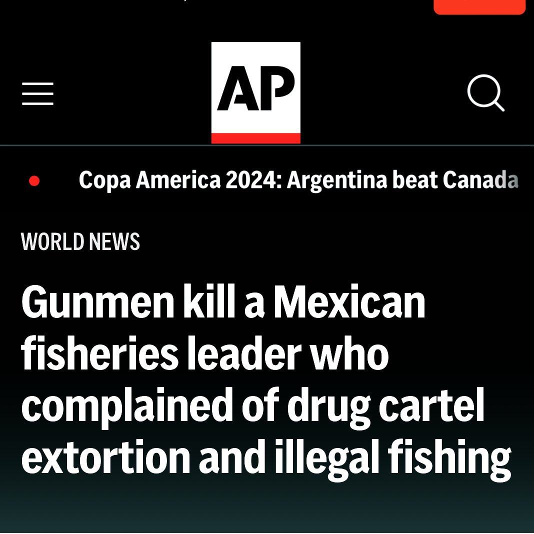 via AP:

“ [The Mexican government has been] completely indifferent &amp; deaf to pleas from within the industry —from small fishers to large industry actors to seafood processing plants— to provide protection against the cartels,” said <a href="/VFelbabBrown/">Vanda Felbab-Brown</a> 

👉 apnews.com/article/mexico…