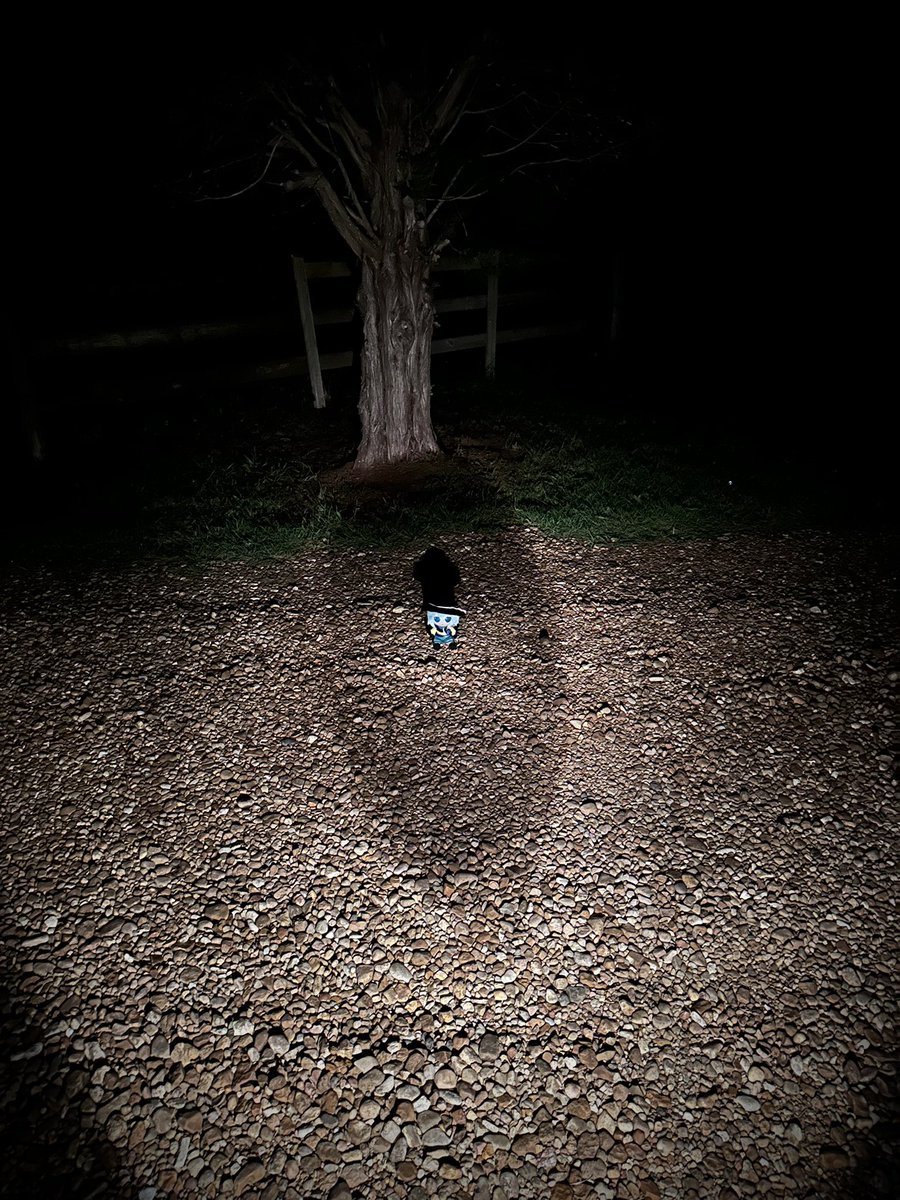 izayoieyes's tweet image. She told me to collect her pages, what do I do?