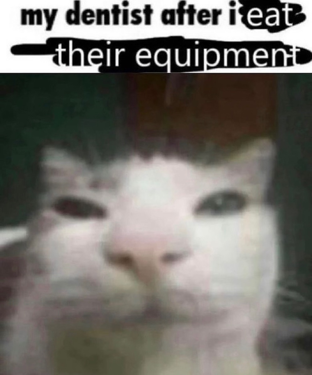 Punch Cat (@punchingcat) on Twitter photo 