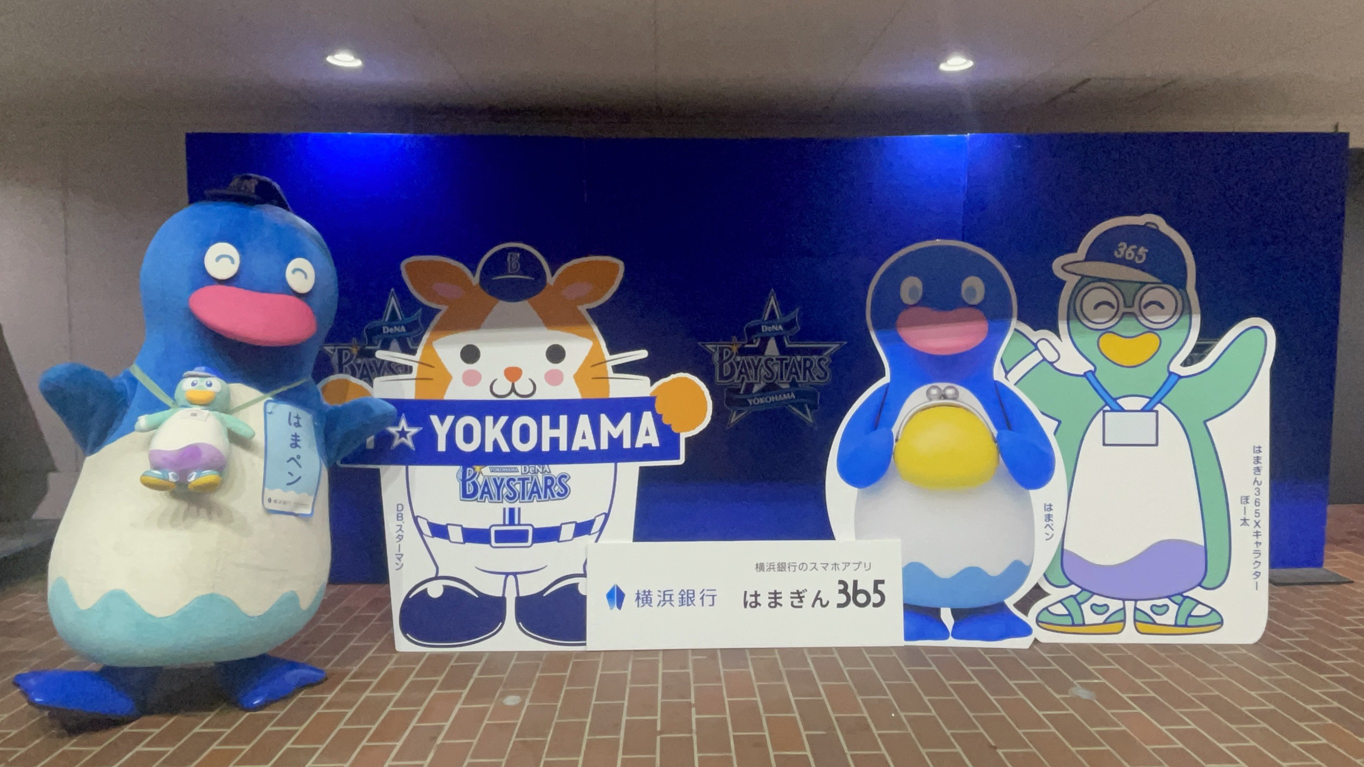 横浜DeNAベイスターズ5周年記念　チャンピオン　ジップパーカー　O　未開封新品 横浜DeNAベイスターズ5周年記念 チャンピオン ジップパーカー O