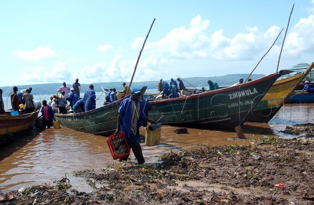InJinjaCity's tweet photo. #Masese landing site:
Is one of the #busiest &amp; largest landing sites in #Busoga kingdom boasting of various businesses ranging from #fishing to transport at the same time offering  #field trips to schools from in &amp; out Uganda. 

#Destination Jinja. https://t.co/kl1NnhTekp