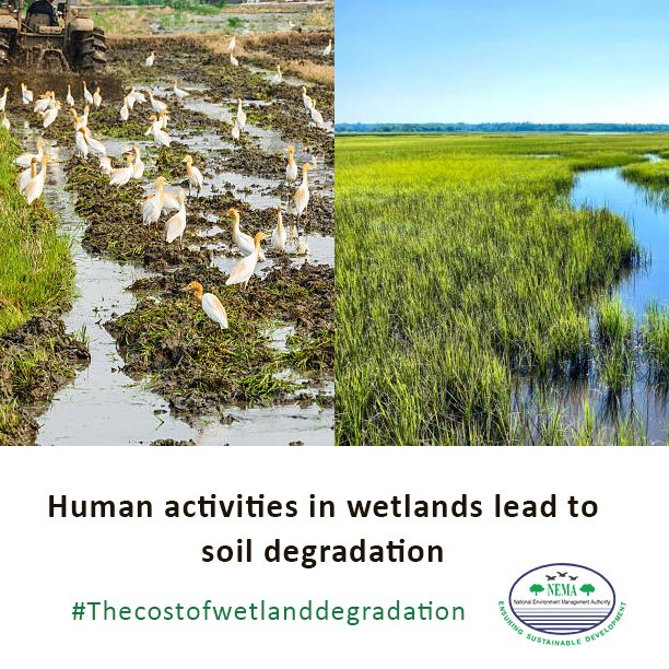 National Environment Management Authority (NEMA) tweet media