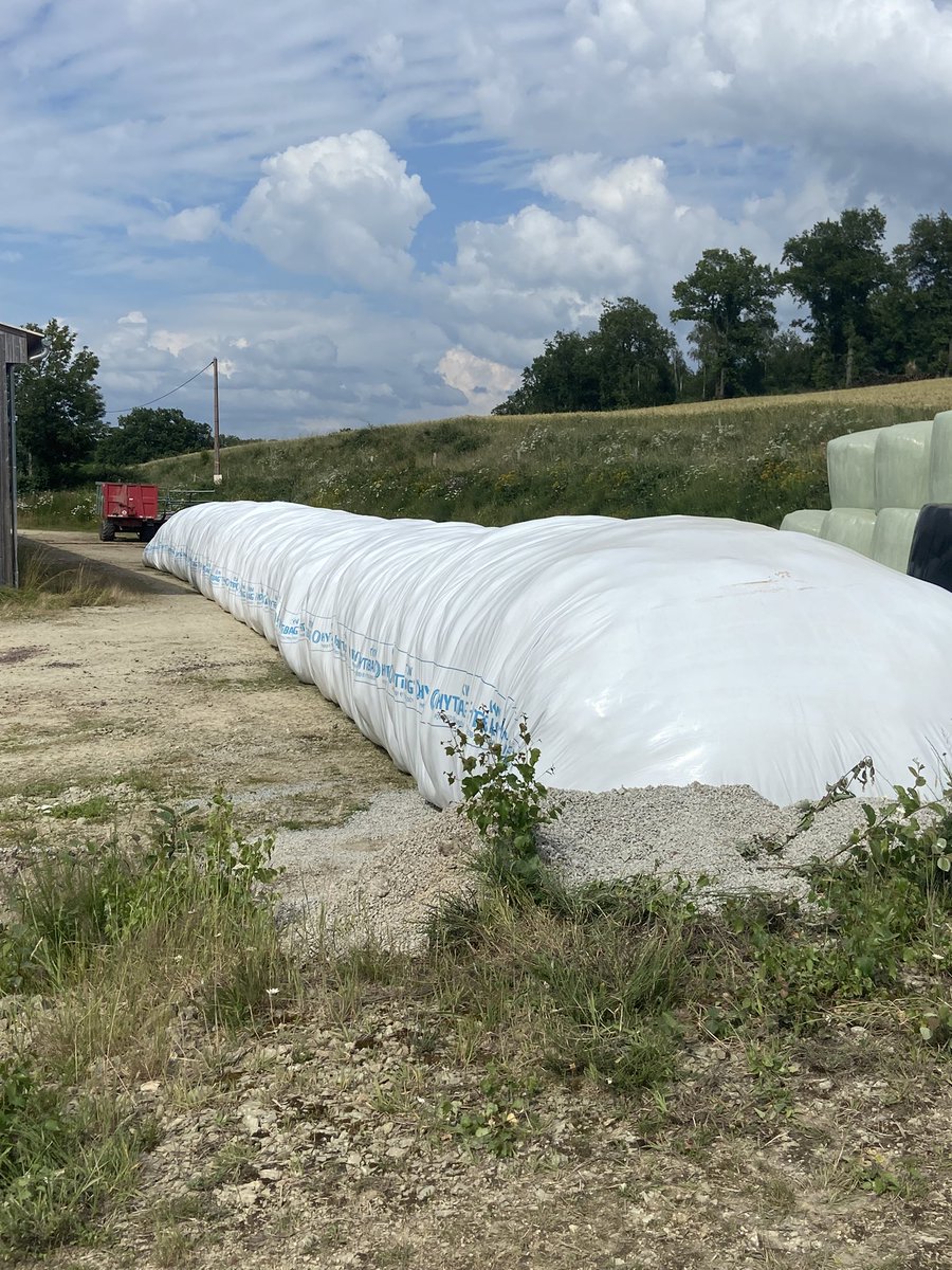sebfr23's tweet photo. Hier c'était ensilage de la deuxième coupe . une année"normale" je fais ça en sec mais compte tenu de la météo cette année c'est un joli boudin de 40 m de long.
Mais bon, forcément c'est un cout supplémentaire mais la garantie d'un fourrage de qualité pour les vaches
#FrAgTw https://t.co/KTLPm08h8R