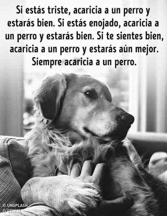 cera_mane's tweet photo. https://t.co/SQF4m3DI6A