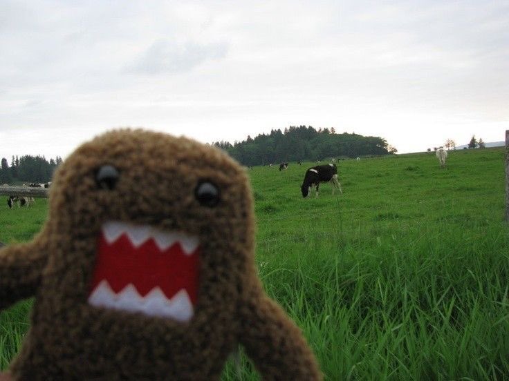 reizokostyle's tweet image. #ultrah #me #ultrahcore